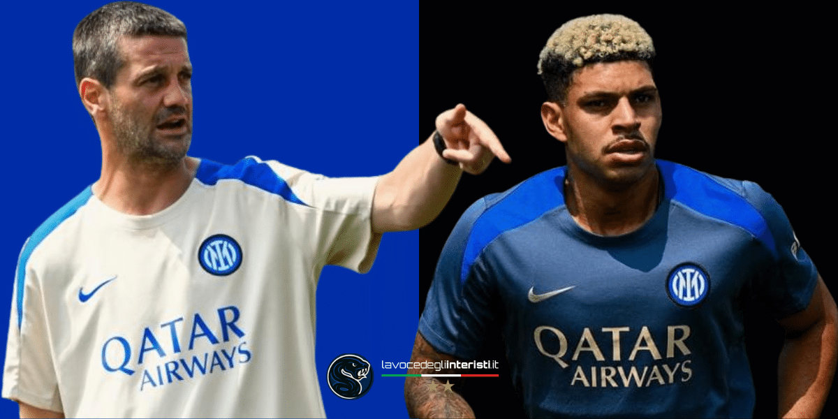 Chivu e Luis Henrique